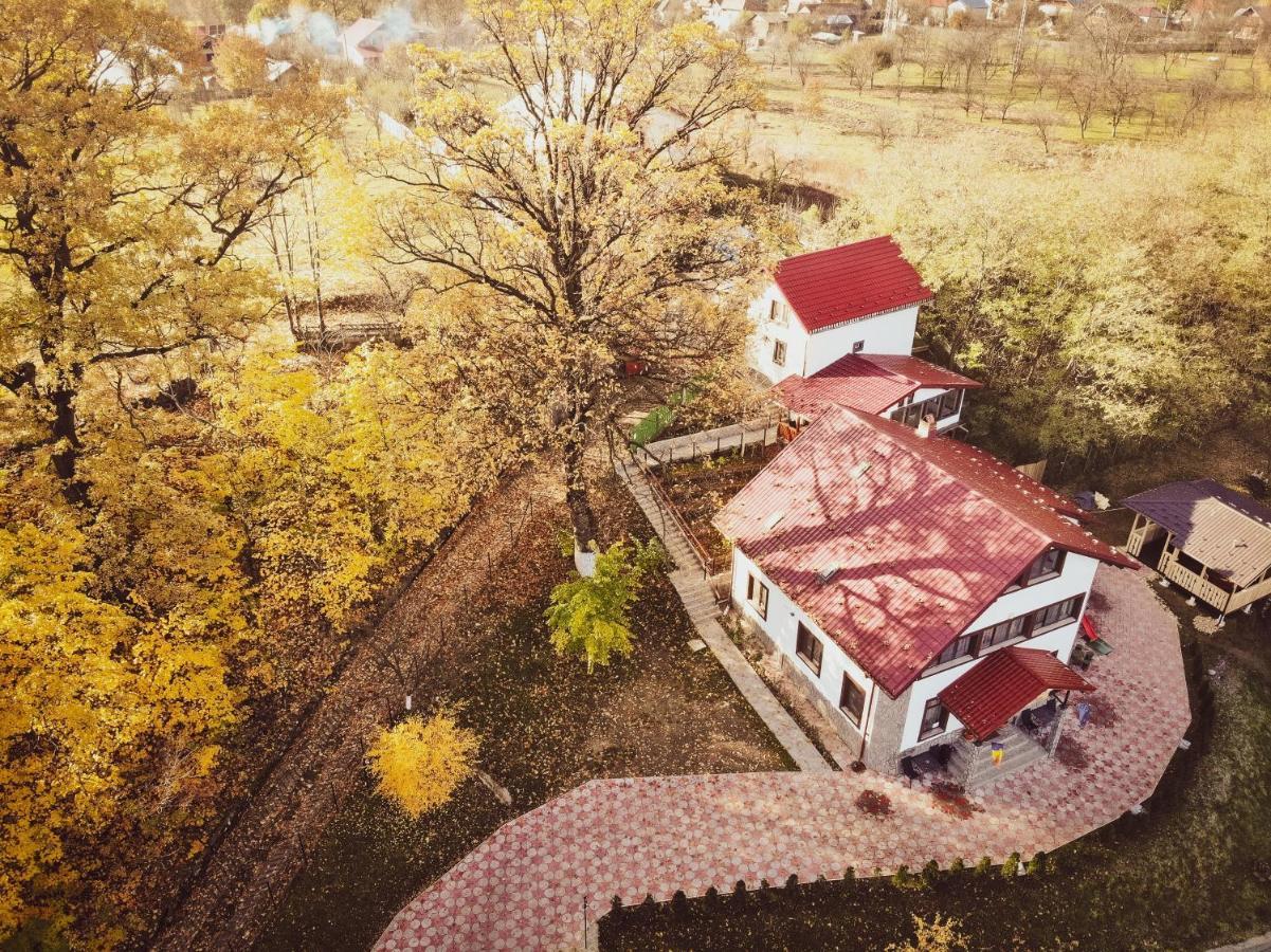 Hotel Stejarul Lui Andrei Izvoarele  Zewnętrze zdjęcie
