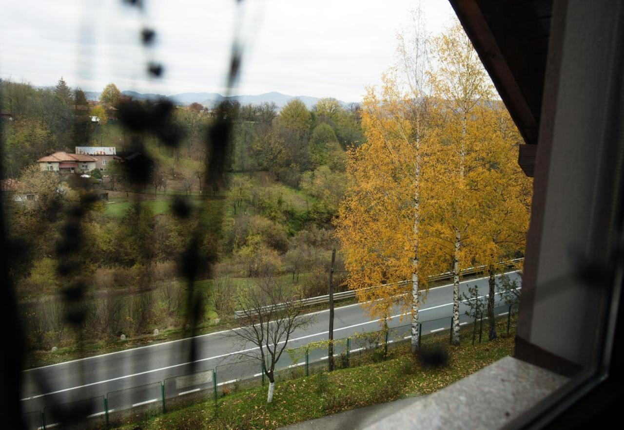 Hotel Stejarul Lui Andrei Izvoarele  Zewnętrze zdjęcie