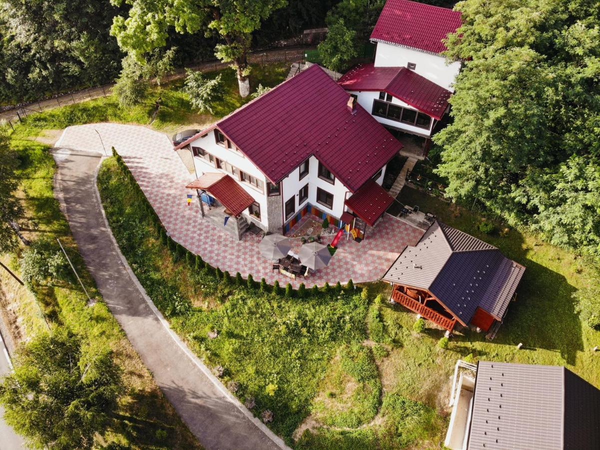Hotel Stejarul Lui Andrei Izvoarele  Zewnętrze zdjęcie